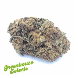 Bc Big Bud (Greenhouse Selects)