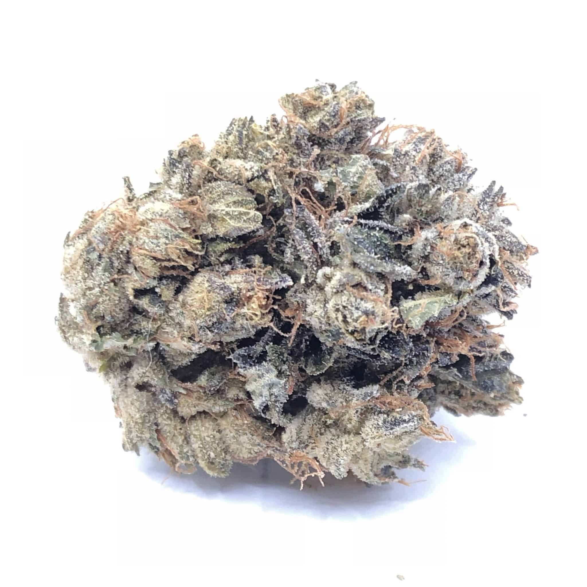 Casino Kush Indica Dominant with 90 minutes Calgary Weed Delivery