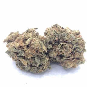 Pink Cookies smalls Balanced Hybrid with 90 minutes Calgary Weed Delivery